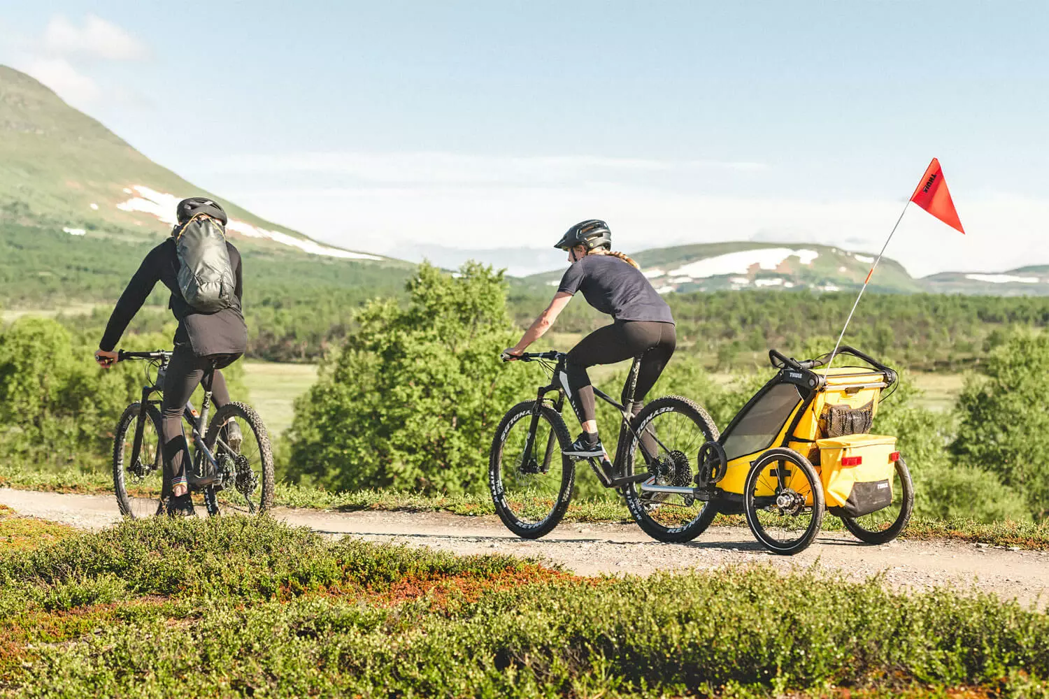 Thule Chariot Sport 1 Fahrradanhänger – Bild 6