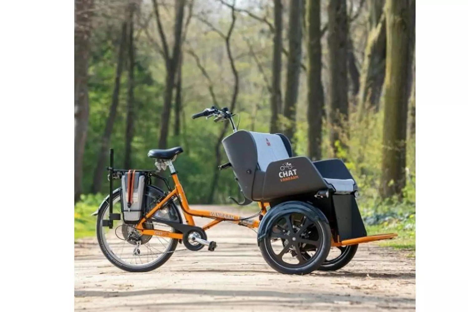 Vanraam Vanraam Chat Rikscha Fahrrad – Bild 2